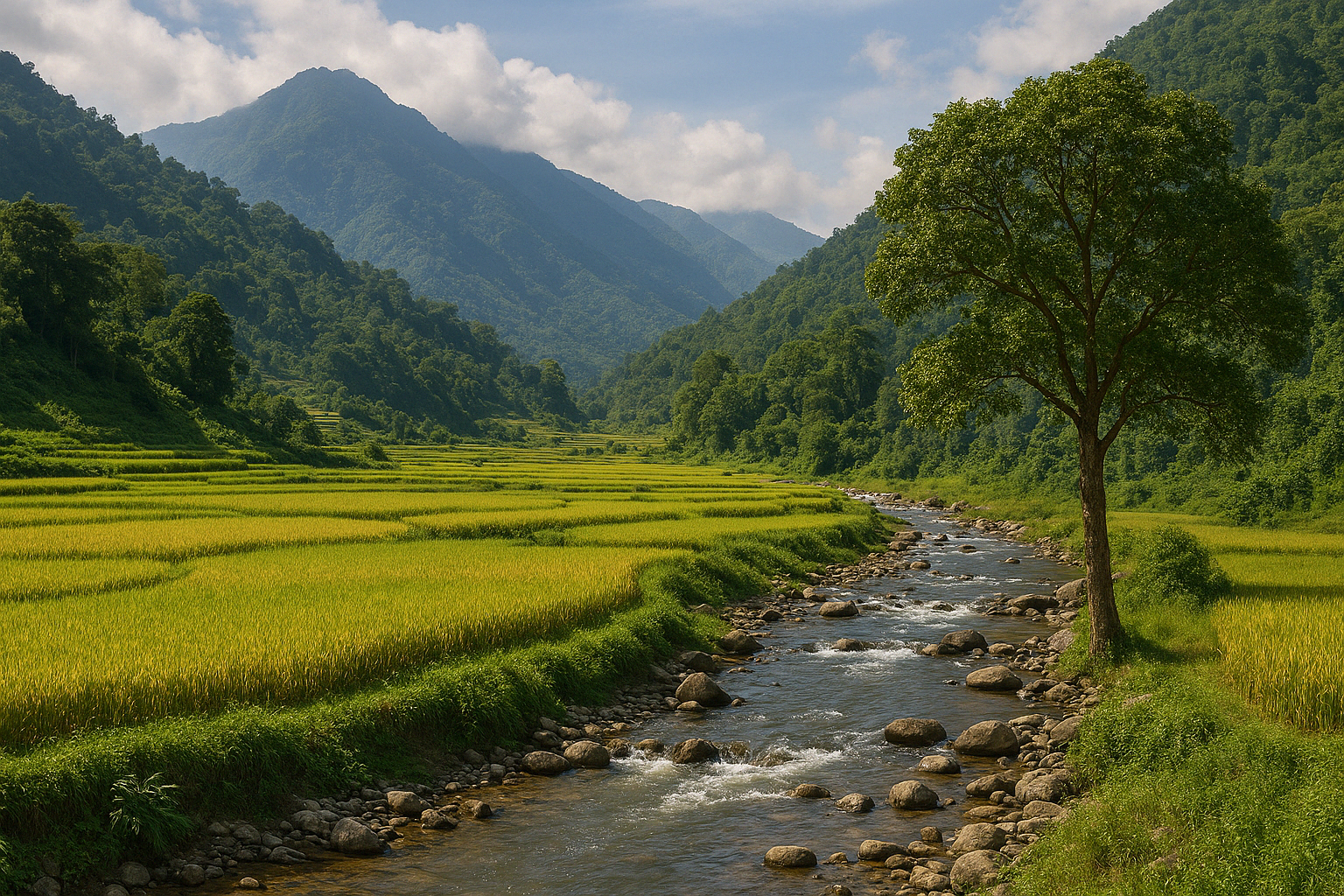 ChatGPT Image 08_56_44 15 thg 4, 2025.png (3.57 MB)