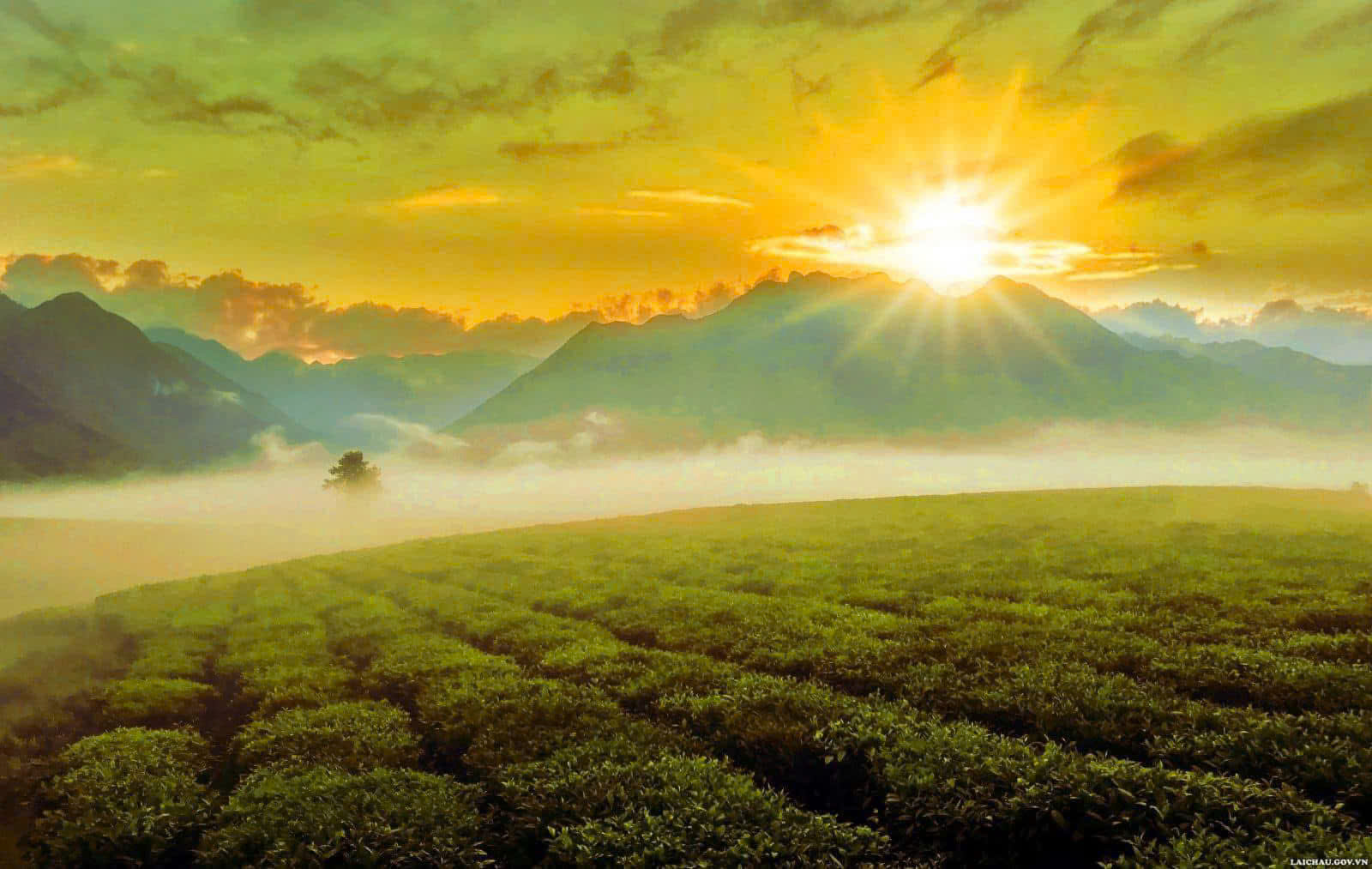 z6504139714658_3ae21d46d188bfb9ad17c4a892d67ffb.jpg (297 KB)